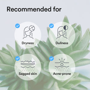 Vegan Collagen gel mask Sedum jelly
