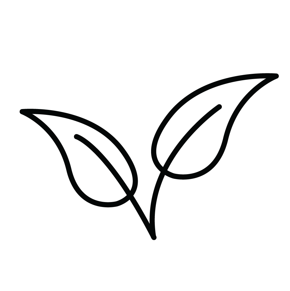 Feature Image 2