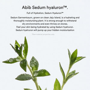 Sedum hyaluron cream Hydrating pot