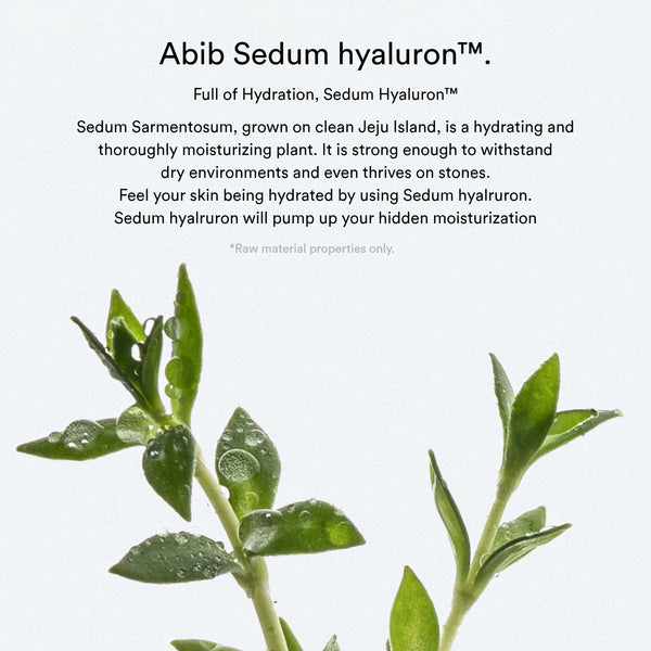 Sedum hyaluron pad Hydrating touch